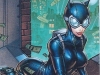 btl1-catwoman