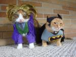 JUST FOR GIGGLES:  Rumors of more Joker after TDKR